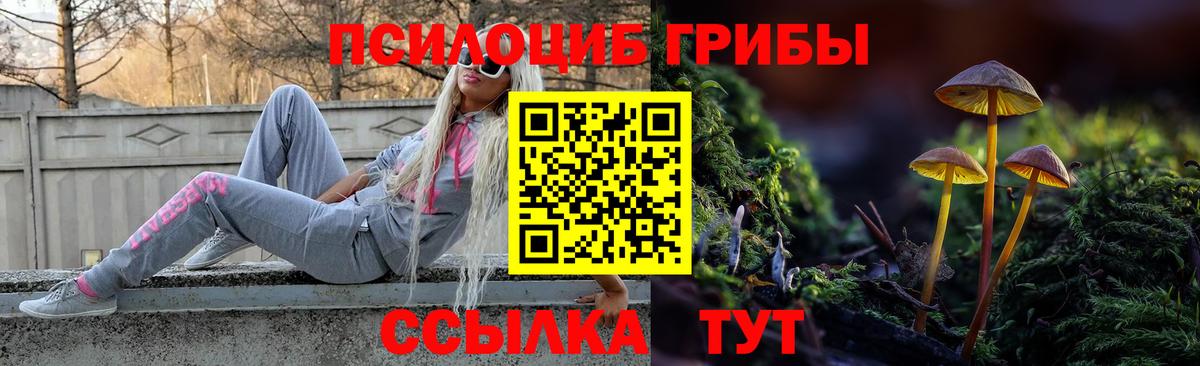 Зерноград  Галлюциногенные грибы Magic Shrooms  Вход с VPN 